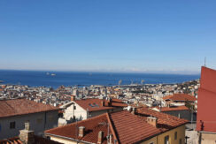 foto-vercelli