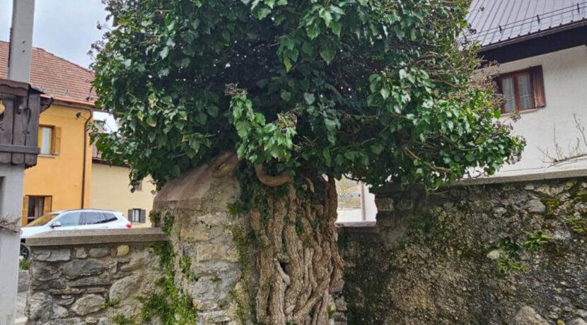 foto-San-Leopoldo-Pontebba