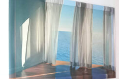 foto-cavalli-10