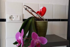 foto-fabio-severo-90-1