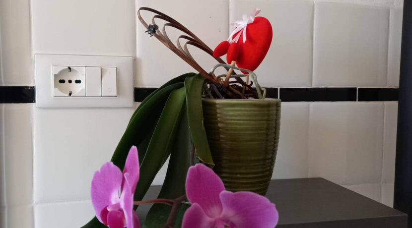 foto-fabio-severo-90-1