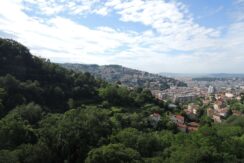 foto-collio-8