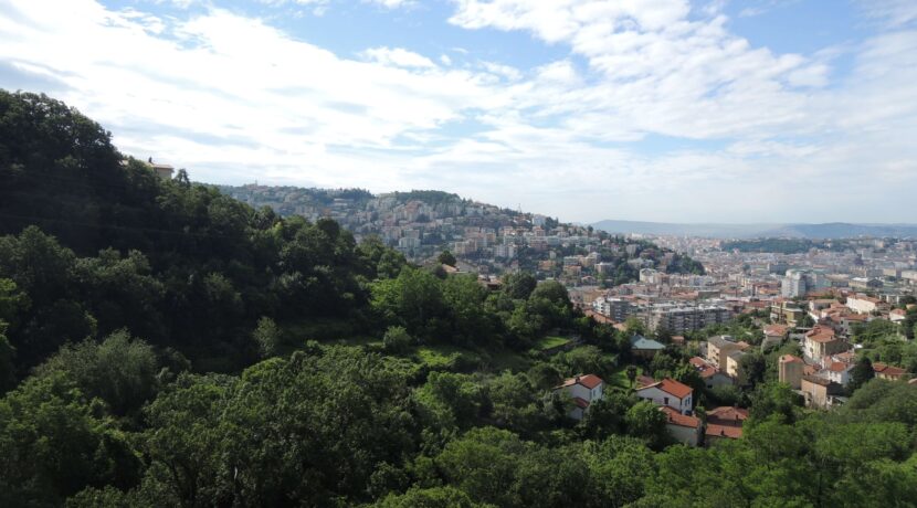 foto-collio-8