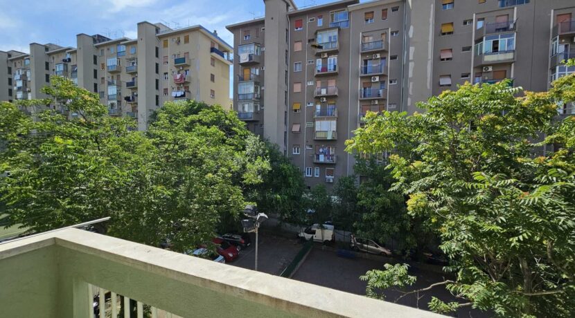 foto-Umago-14