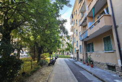 Foto-giarizzole-9