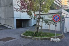 foto-box-verdemare